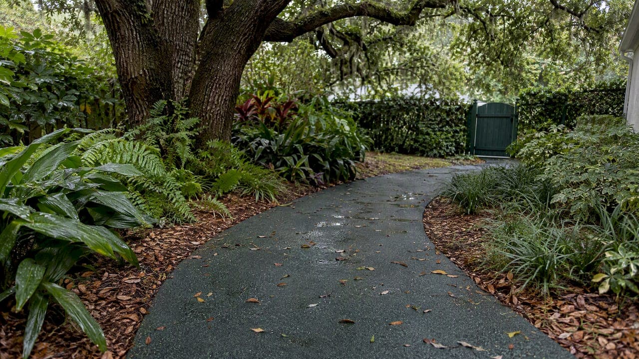 Rubber Paving in Shaded Areas: What to Expect and How to Plan
